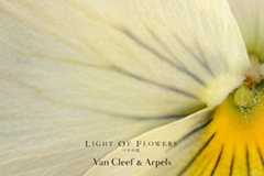 Van Cleef & Arpels（ヴァン クリーフ＆アーペル）　期間限定エキシビション“LIGHT OF FLOWERS ハナの光”を開催