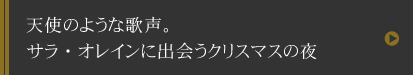 「世界一美しい航路」で