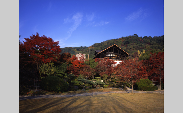 【アサヒビール大山崎山荘美術館】アサヒビール創業120周年記念「睡蓮池のほとりにて～モネと須田悦弘、伊藤存」展 