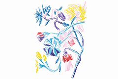 Van Cleef & Arpels（ヴァン クリーフ＆アーペル）　花のテーマにオマージュを捧げる一年
