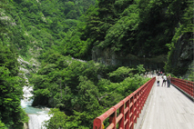 特集「北陸・トロッコ列車の旅酷暑の夏におすすめ 黒部峡谷鉄道を行く」