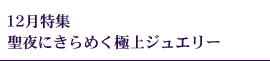 聖夜にきらめく極上ジュエリー