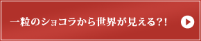 【レニエ・ショコラトリ セヌフォ】一粒のショコラから世界が見える？！