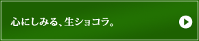 心にしみる、生ショコラ。