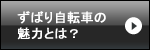 ずばり自転車の魅力とは？