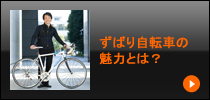 ずばり自転車の魅力とは？