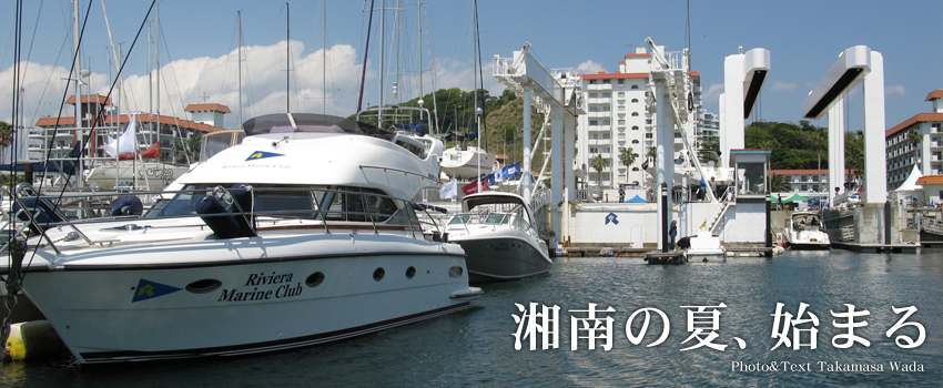 湘南の夏、始まる