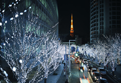 グランド ハイアット 東京　Miracle Christmas Stay（ミラクル クリスマス ステイ）
